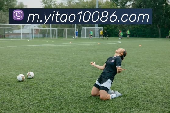 壹葡娛樂平台生态图